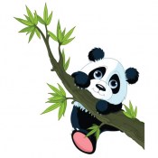 panda___